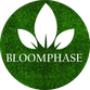 BLOOMPHASE SERVICES