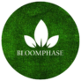 bloom phase services logo
